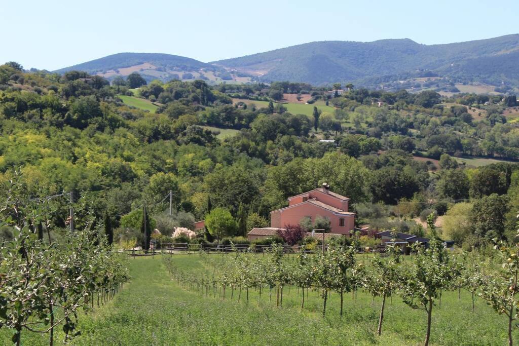 Casa Kikenda, Viaggio Nella Natura Treia Exteriör bild
