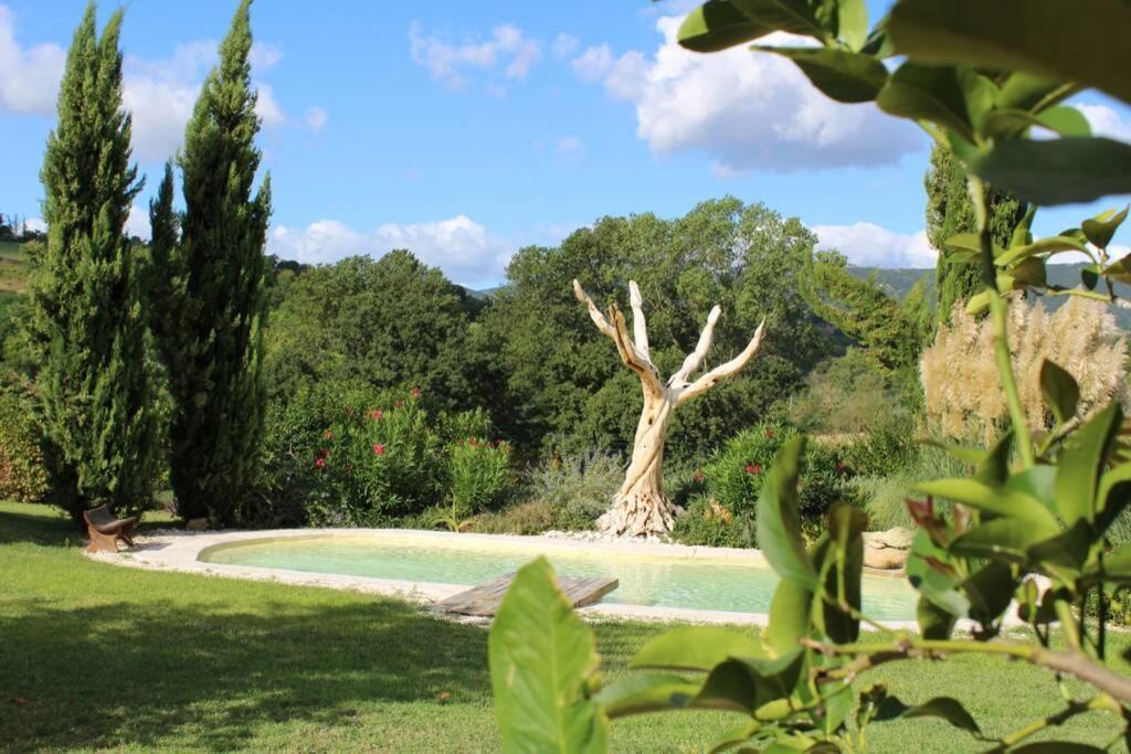 Casa Kikenda, Viaggio Nella Natura Treia Exteriör bild