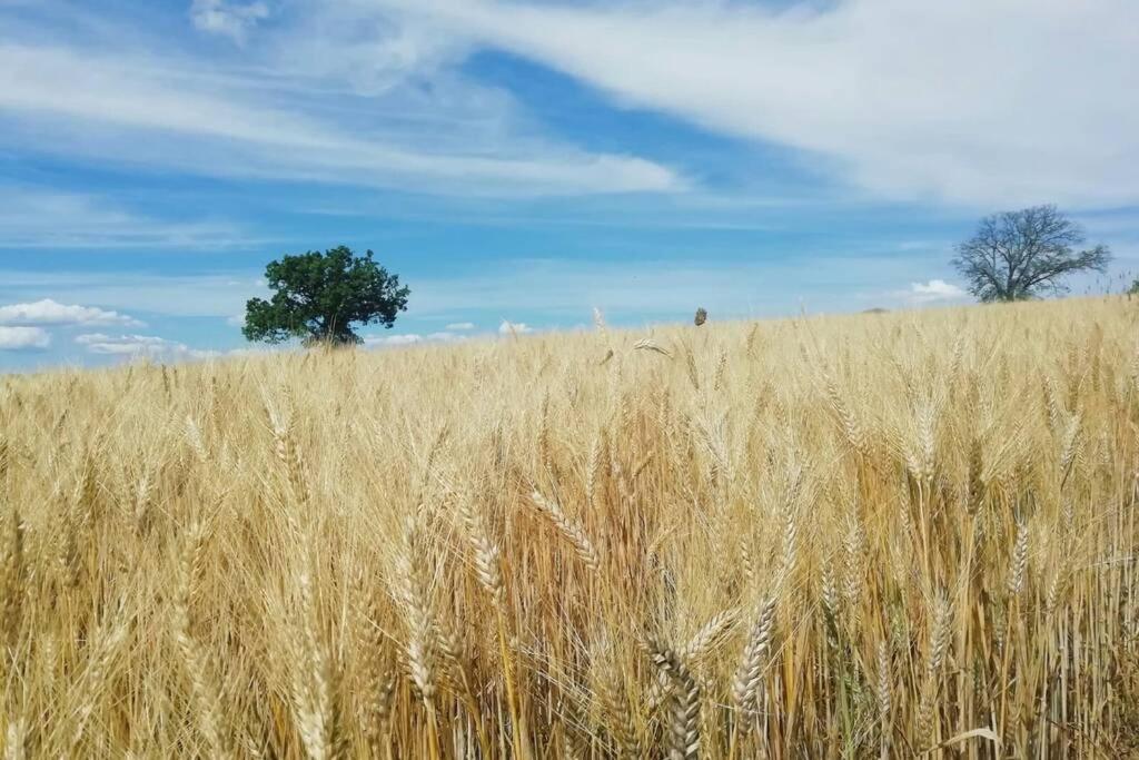 Casa Kikenda, Viaggio Nella Natura Treia Exteriör bild
