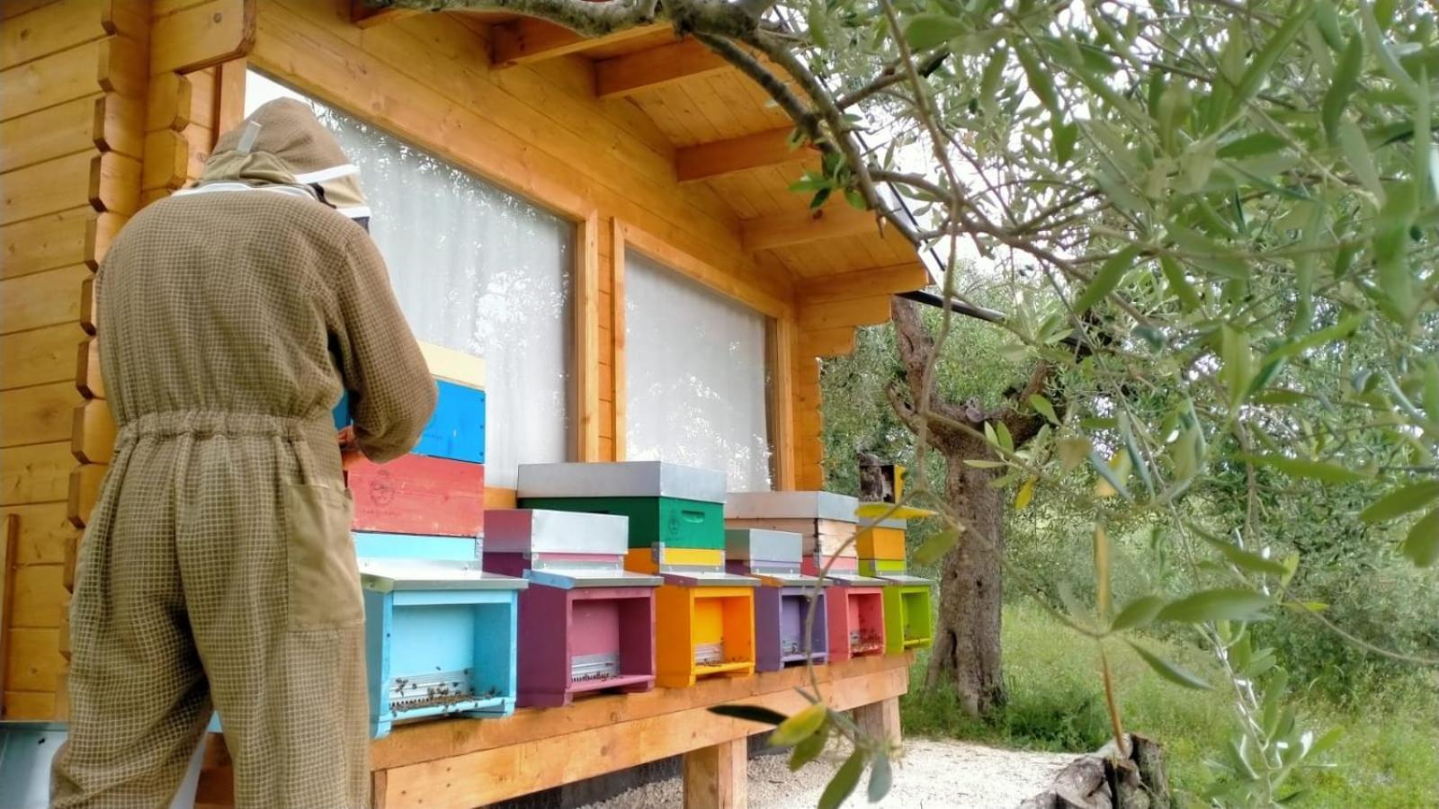 Casa Kikenda, Viaggio Nella Natura Treia Exteriör bild